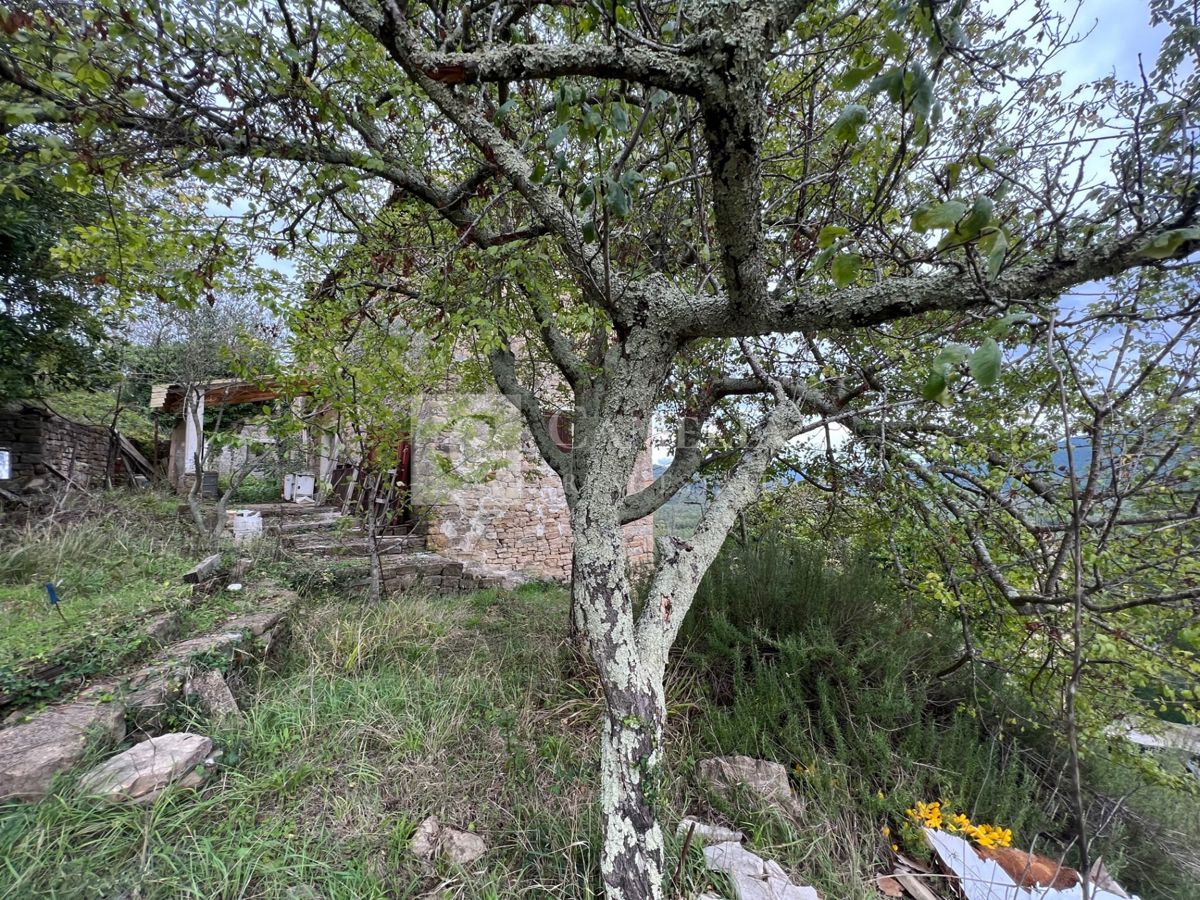 House For sale - ISTARSKA OPRTALJ