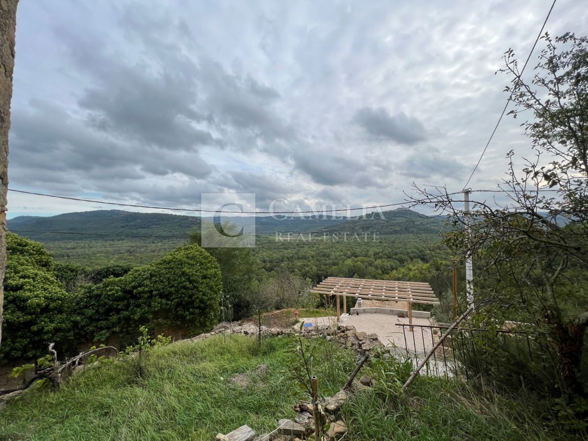 House For sale - ISTARSKA OPRTALJ