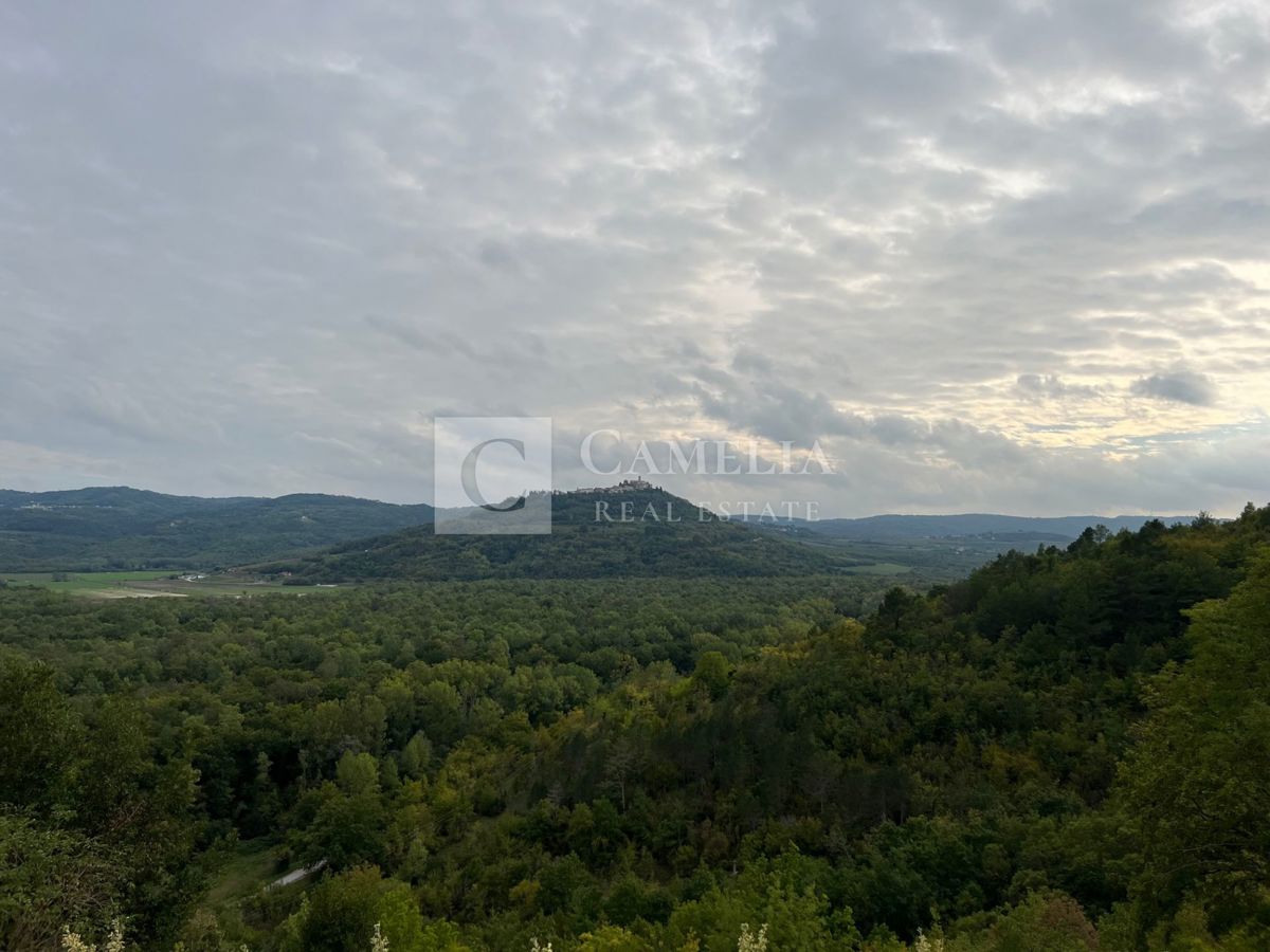 House For sale - ISTARSKA OPRTALJ