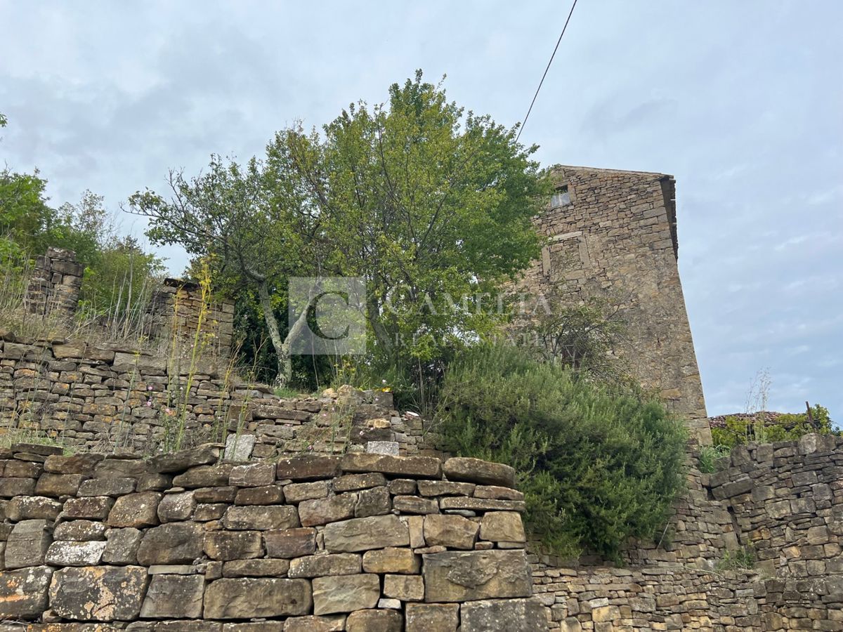 House For sale - ISTARSKA OPRTALJ