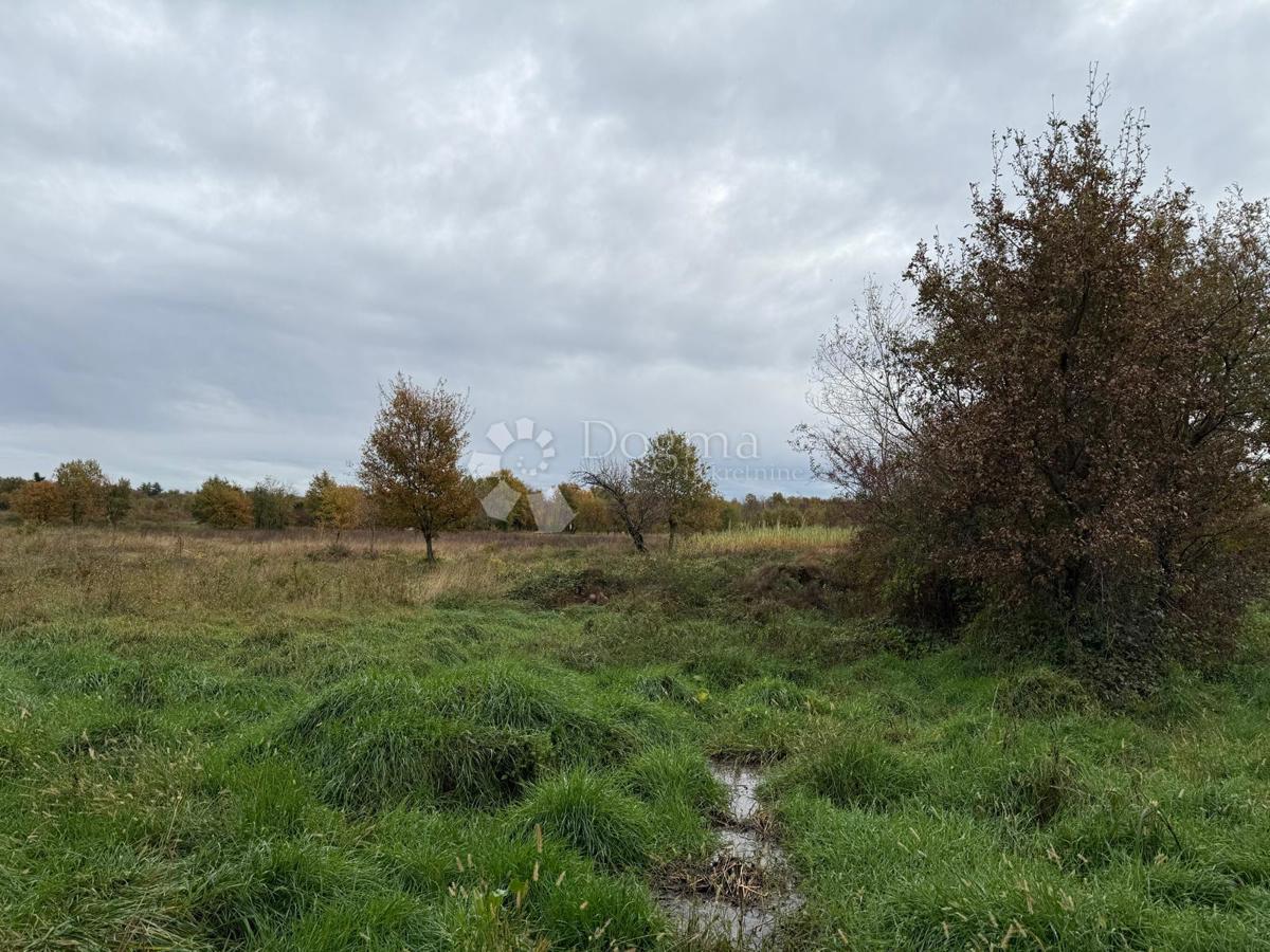 Land For sale - Istarska Poreč - foto 3/4