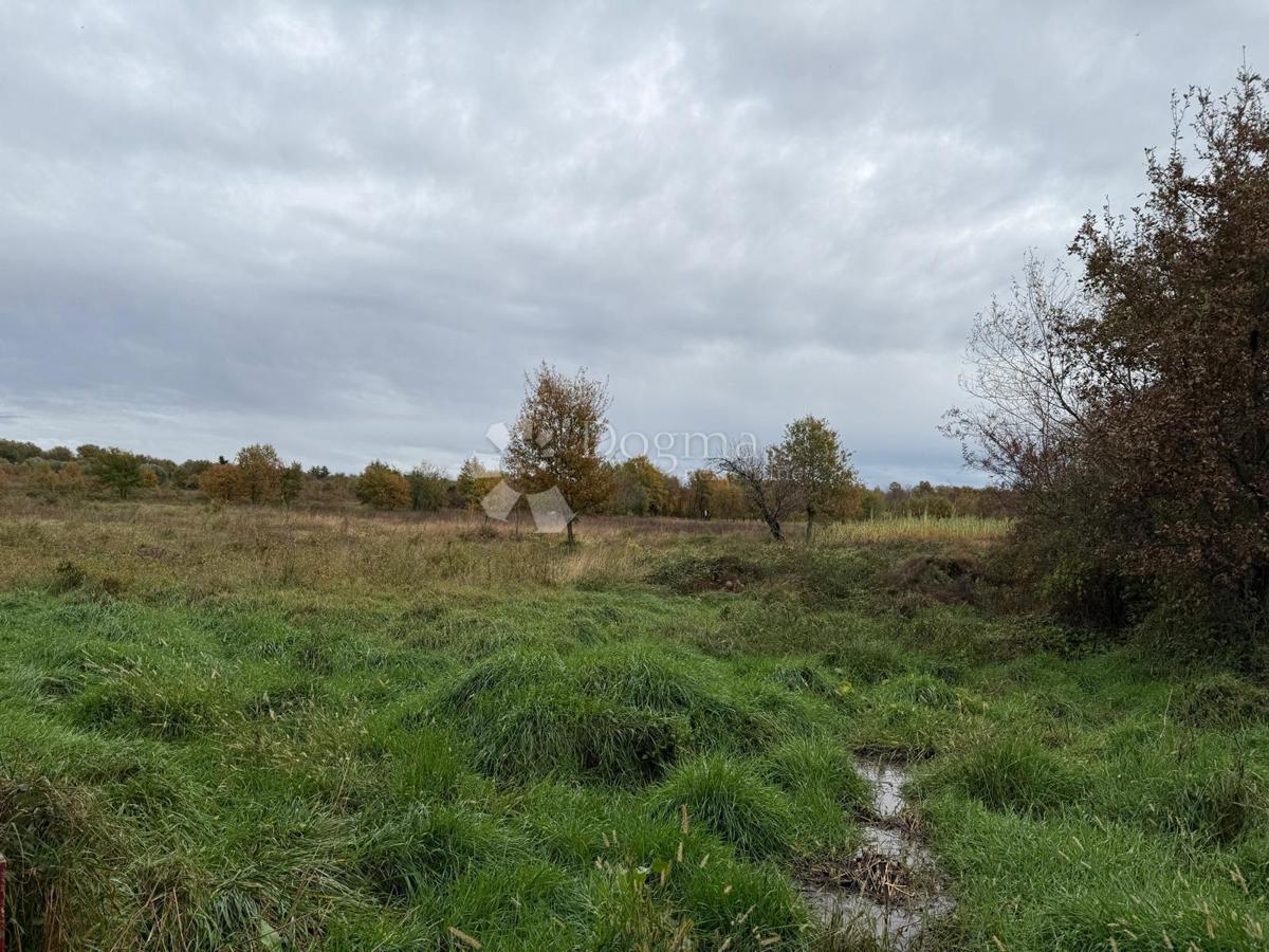 Land For sale - Istarska Poreč - foto 4/4