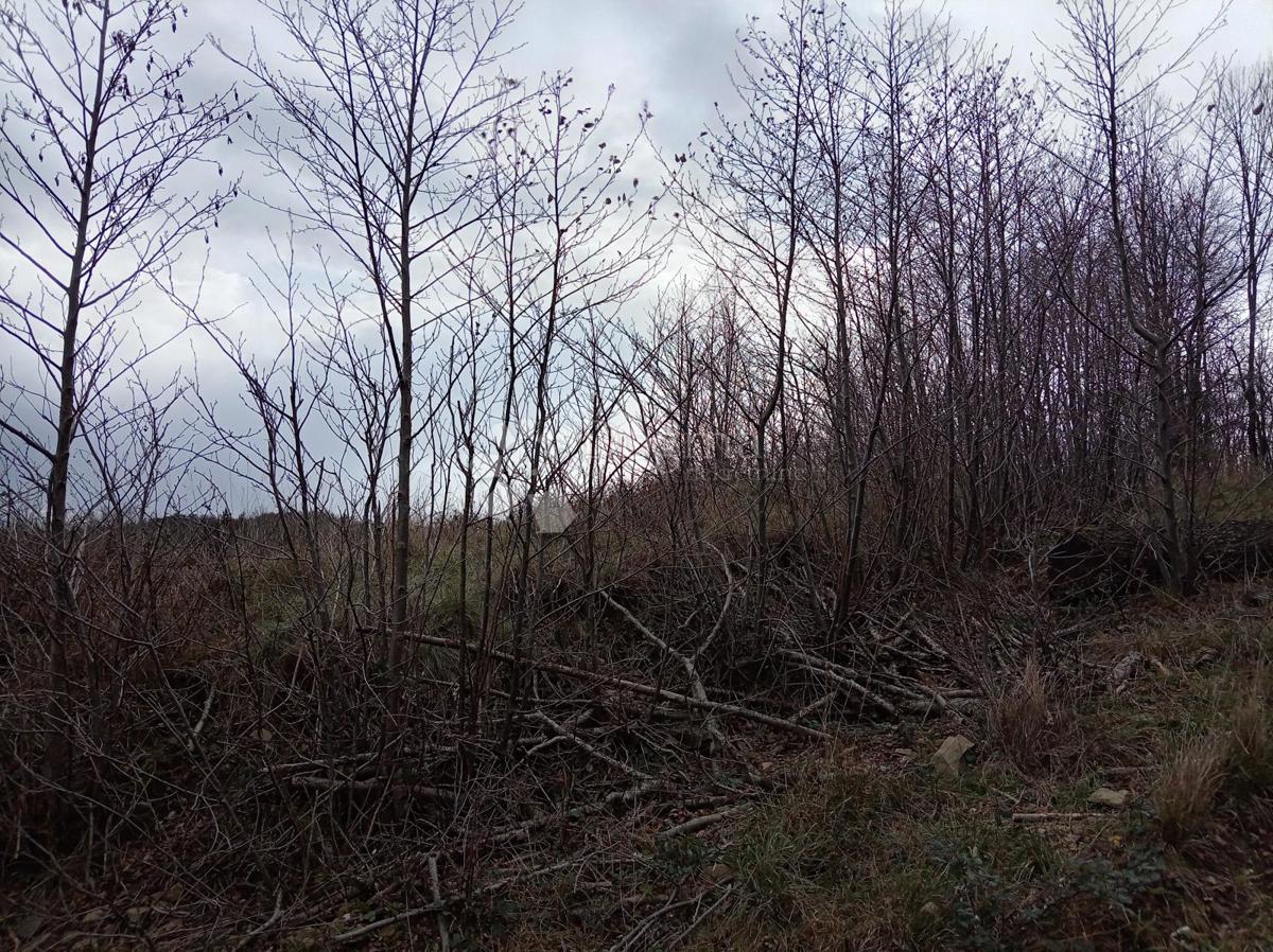 Działka Na sprzedaż - Primorsko-goranska Klana - foto 1/2