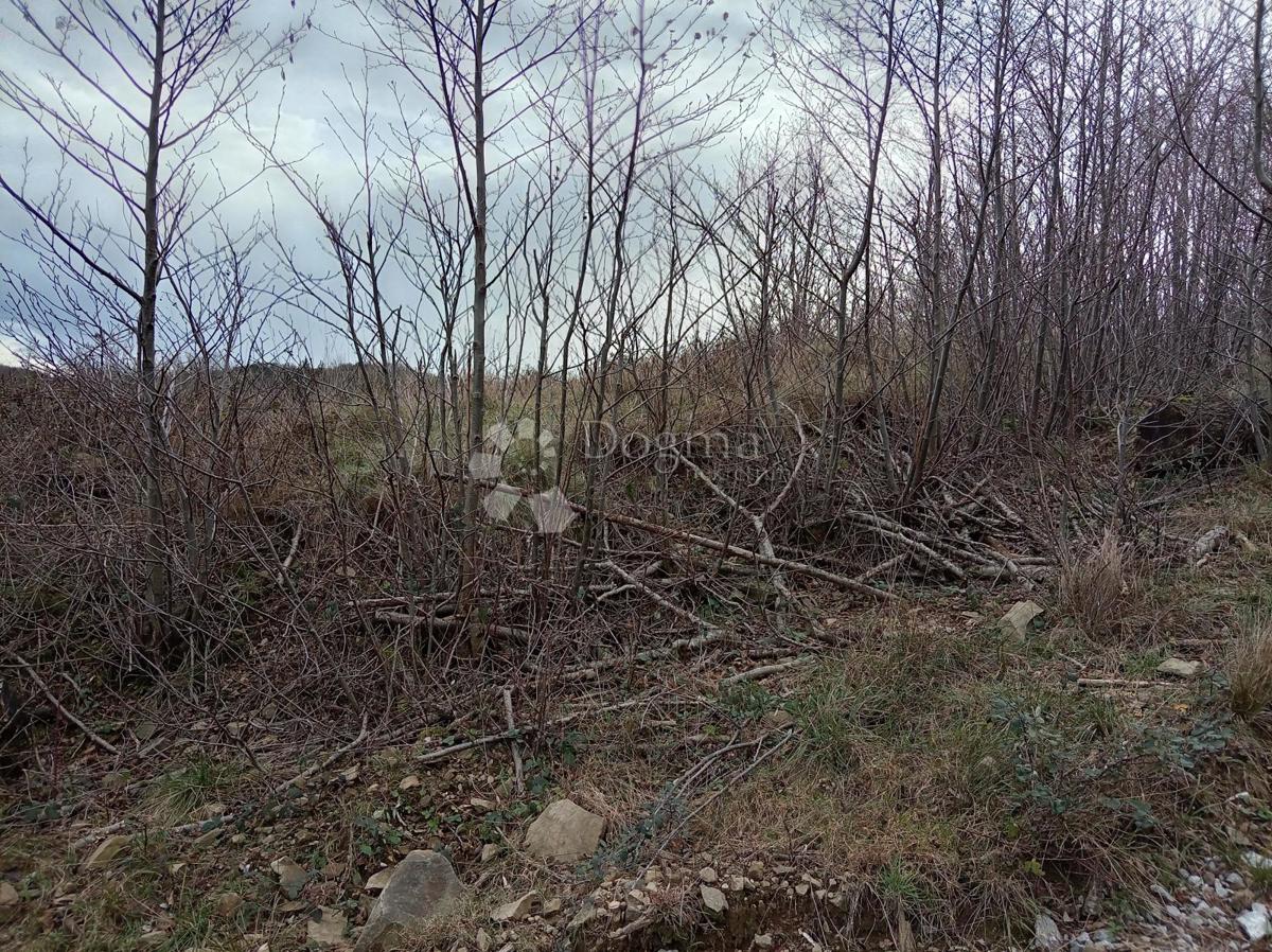 Działka Na sprzedaż - Primorsko-goranska Klana - foto 2/2