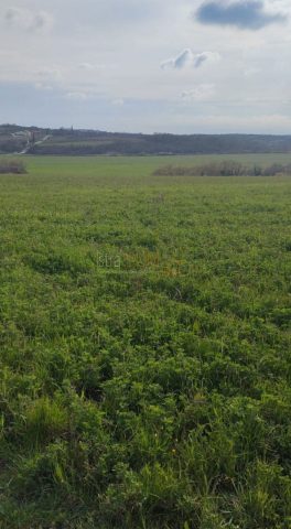 Land for sale 68270 m² – Umag
