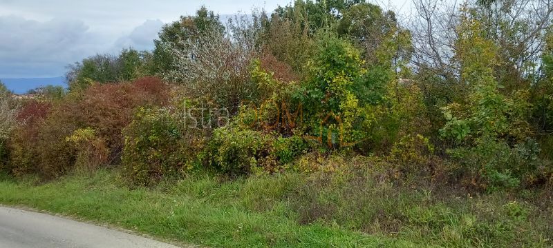 Land For sale PAZIN