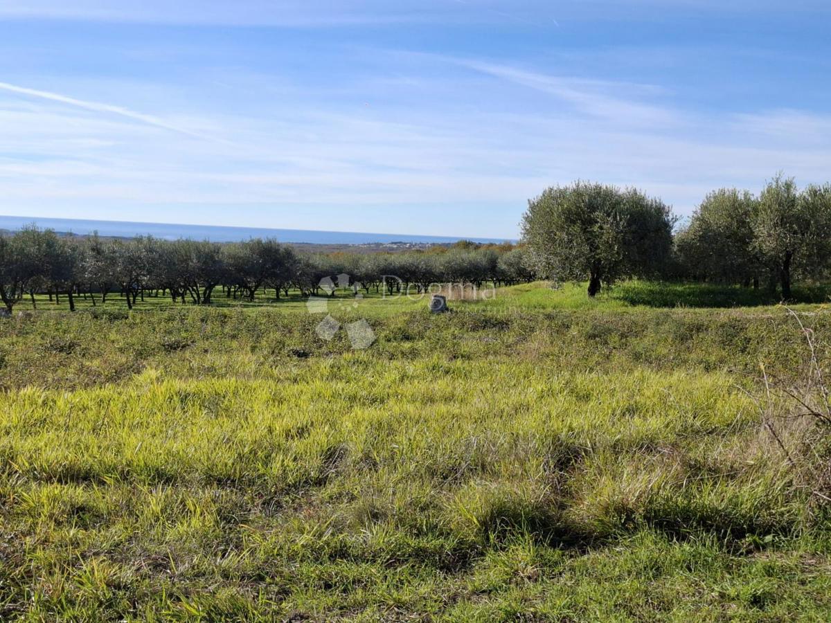 Działka Na sprzedaż - Istarska Poreč - foto 2/5