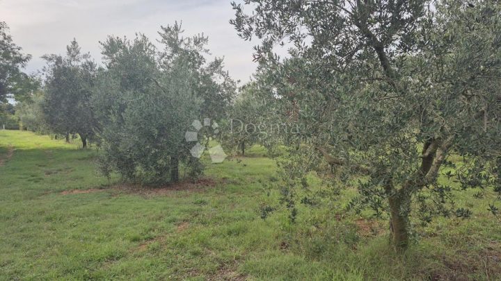 Parcela na predaj 8610 m² – Ližnjan