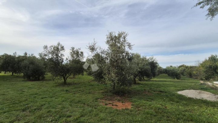 Grundstück Zu verkaufen - Istarska Ližnjan - foto 4/8