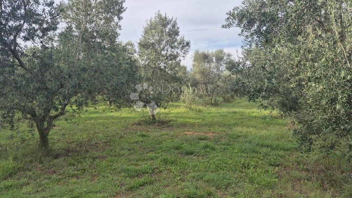 Grundstück Zu verkaufen - Istarska Ližnjan - foto 5/8