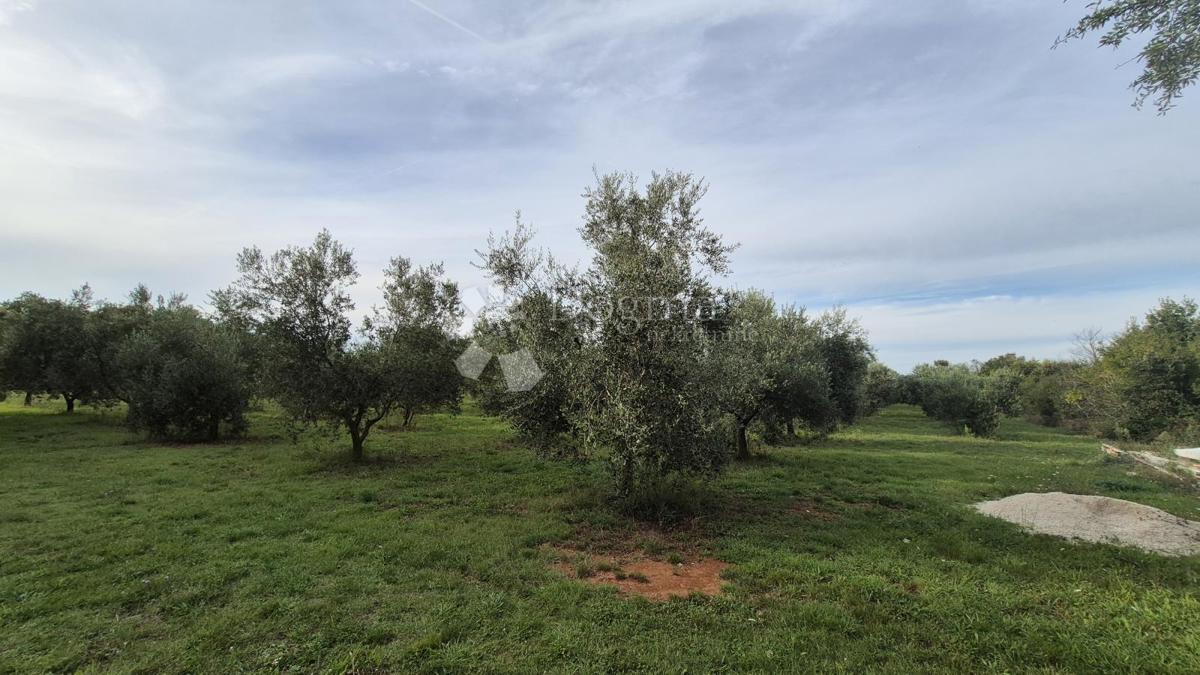 Terrain À vendre - Istarska Ližnjan - foto 4/8