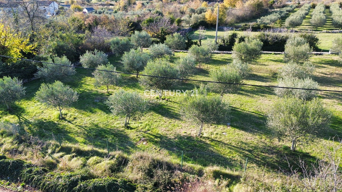 Zemljište Na prodaju - ISTARSKA SVETI LOVREČ