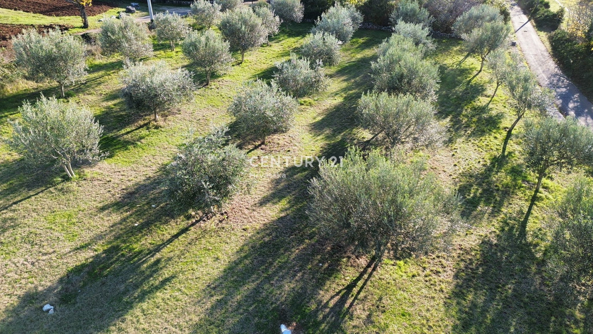 Zemljište Na prodaju - ISTARSKA SVETI LOVREČ