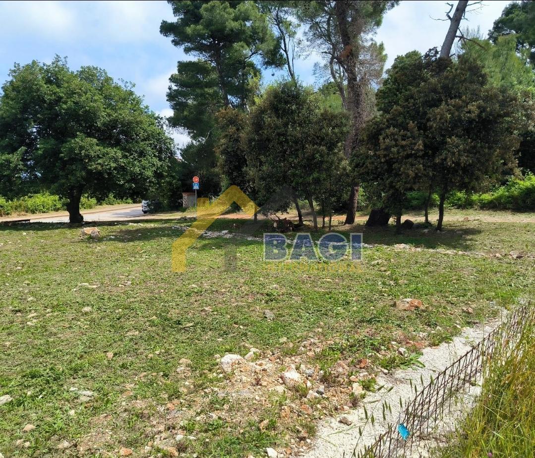 Terrain À vendre - Istarska Ližnjan - foto 2/14