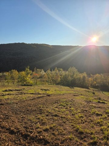 Grundstück Zu verkaufen - Istarska Motovun - foto 3/3