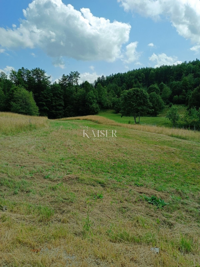 Land For sale - Primorsko-goranska Ravna Gora - foto 1/7