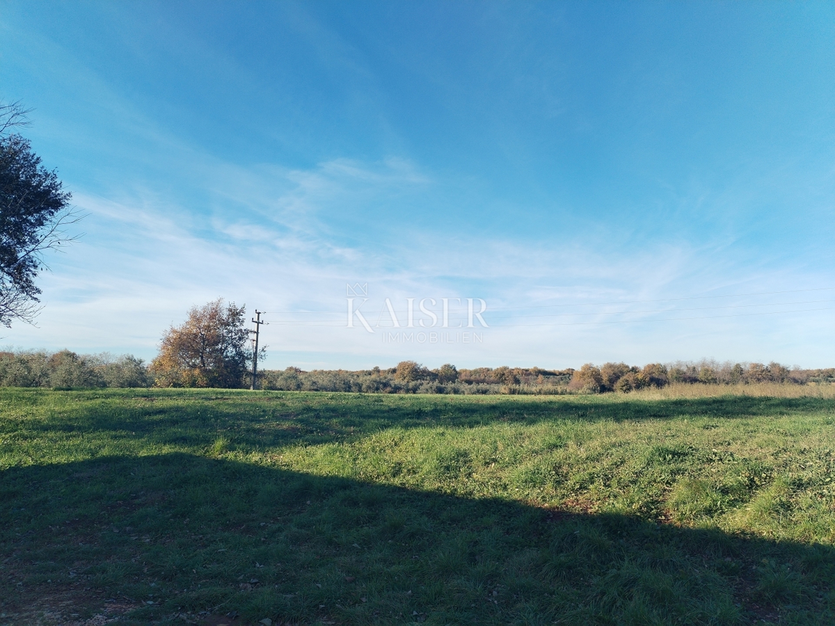 Land For sale - Istarska Brtonigla - foto 2/3