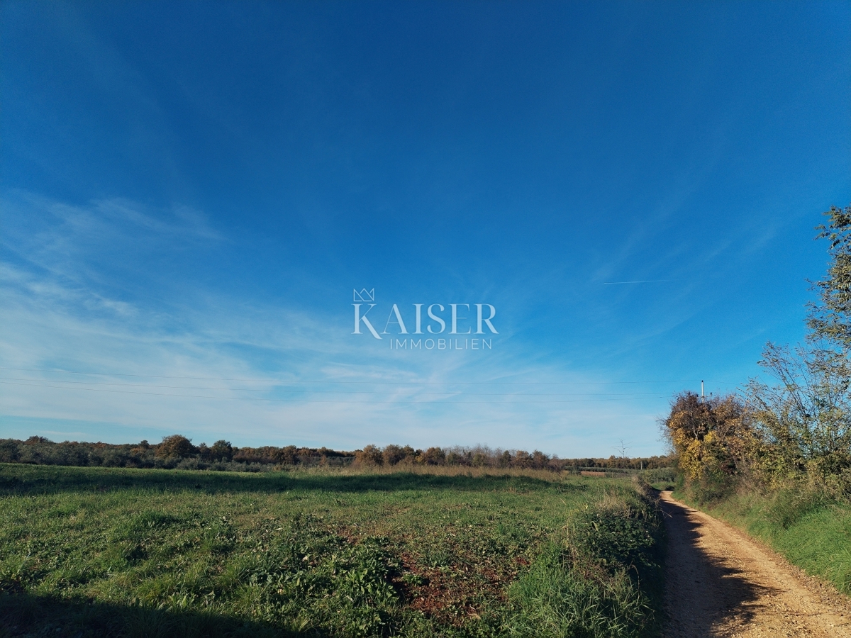 Land For sale - Istarska Brtonigla - foto 3/3