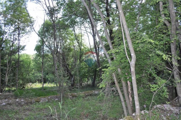 Działka Na sprzedaż - Primorsko-goranska Matulji - foto 5/16