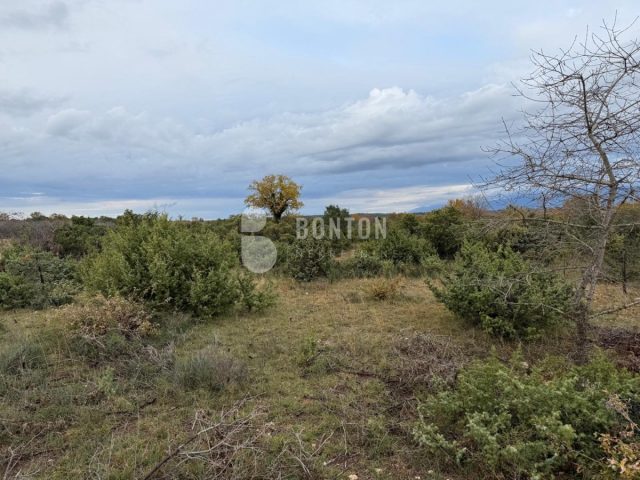 Terrain à vendre 4458 m² – Nin
