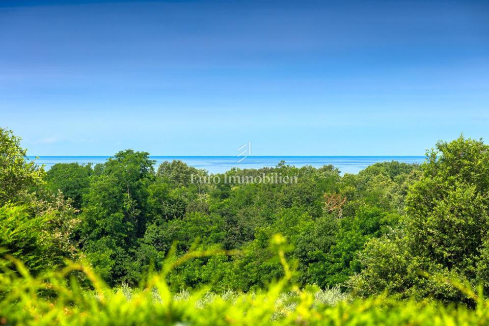 House For sale - ISTARSKA NOVIGRAD