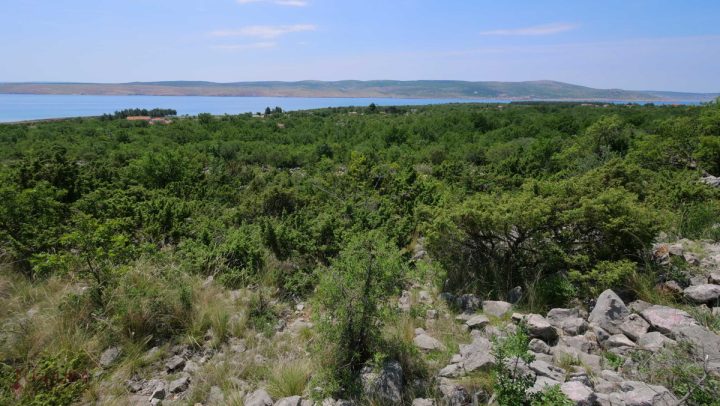 Land for sale 1564 m² – Starigrad