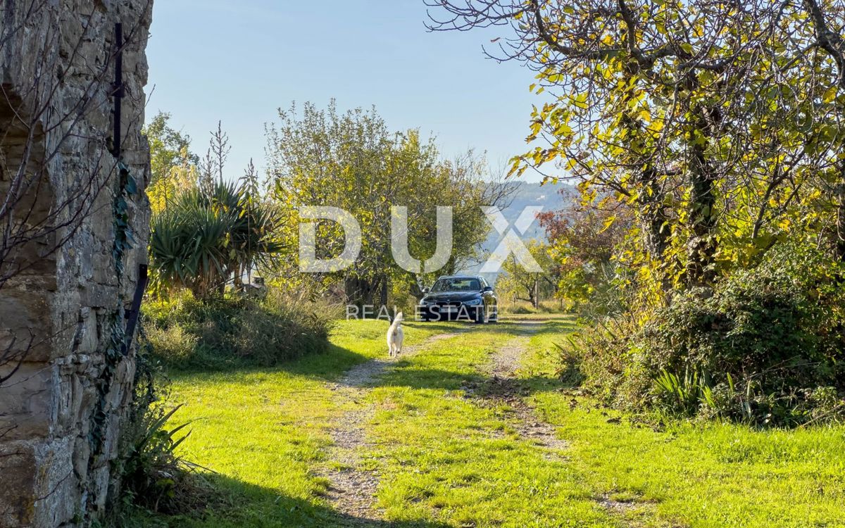 Dom Na predaj - ISTARSKA LUPOGLAV
