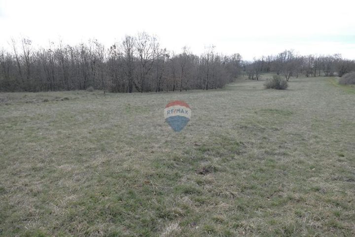 Zemljište Na prodaju - Istarska Svetvinčenat - foto 3/4