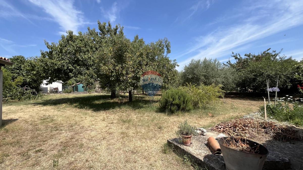 Land For sale - ISTARSKA VIŠNJAN