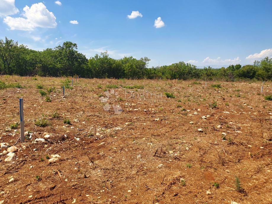 Land For sale - ZADARSKA SUKOŠAN