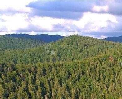 Grundstück Zu verkaufen - Primorsko-goranska Fužine - foto 2/2