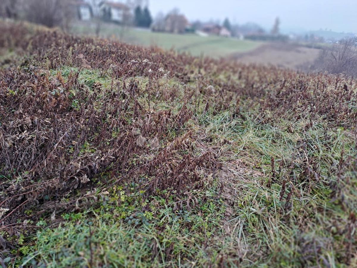 Zemljište Na prodaju - KARLOVAČKA KARLOVAC