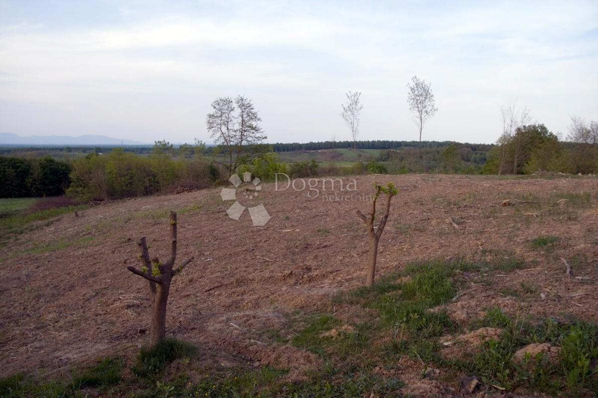 Terreno In vendita - KARLOVAČKA KARLOVAC