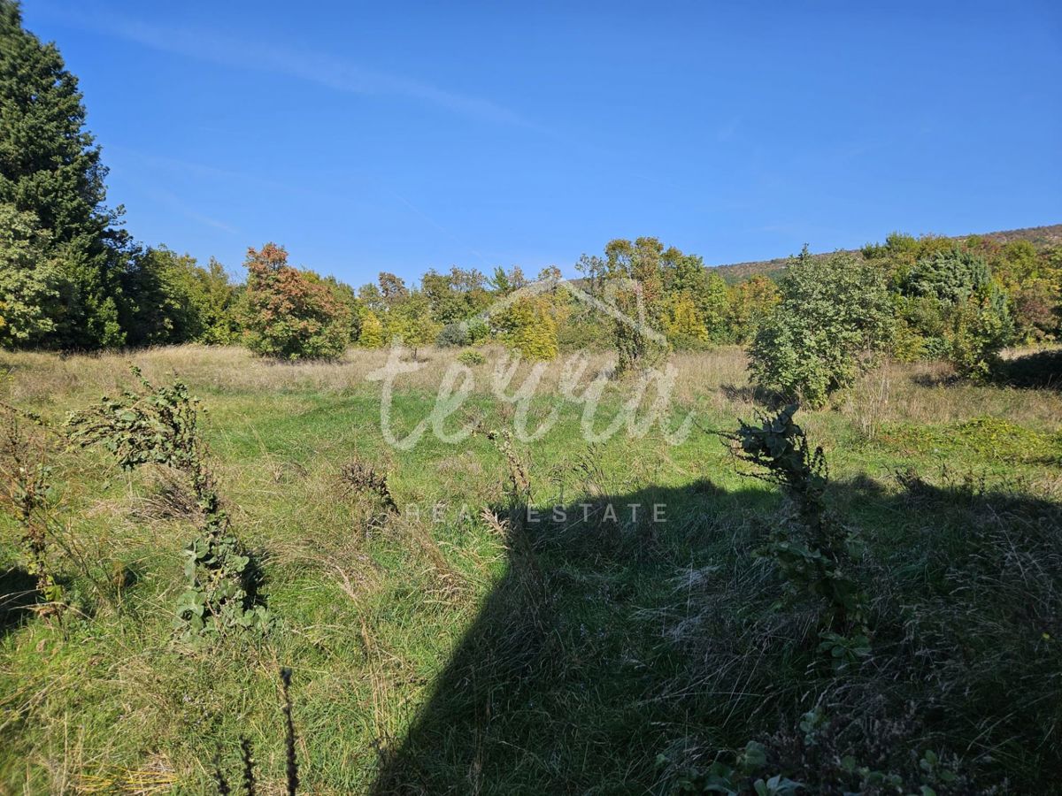 House For sale - ISTARSKA LABIN