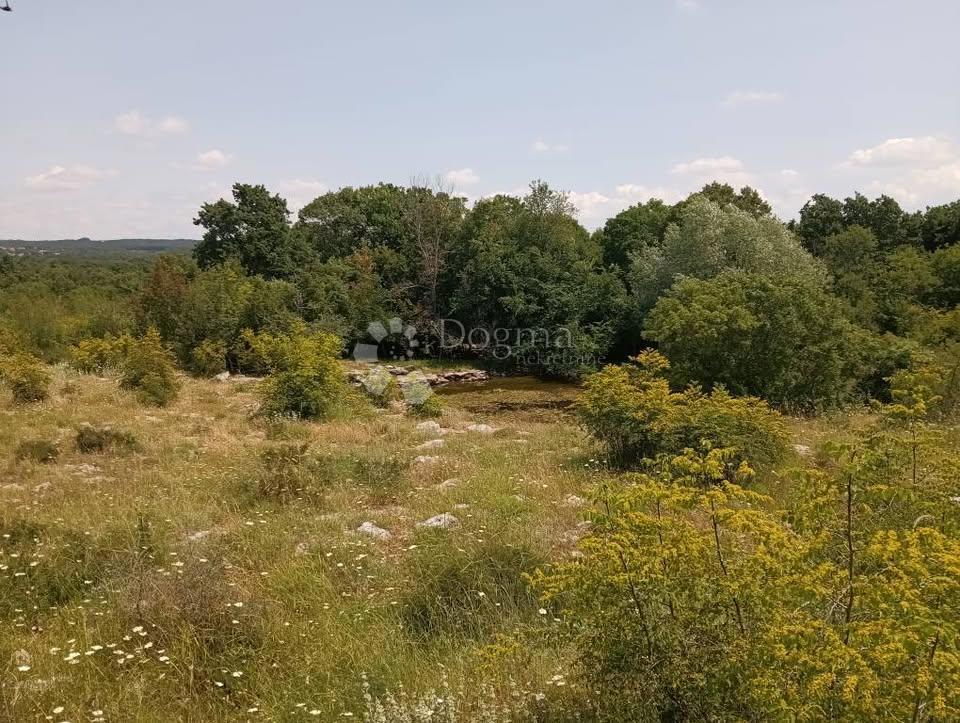 Terrain À vendre - Istarska Svetvinčenat - foto 2/2