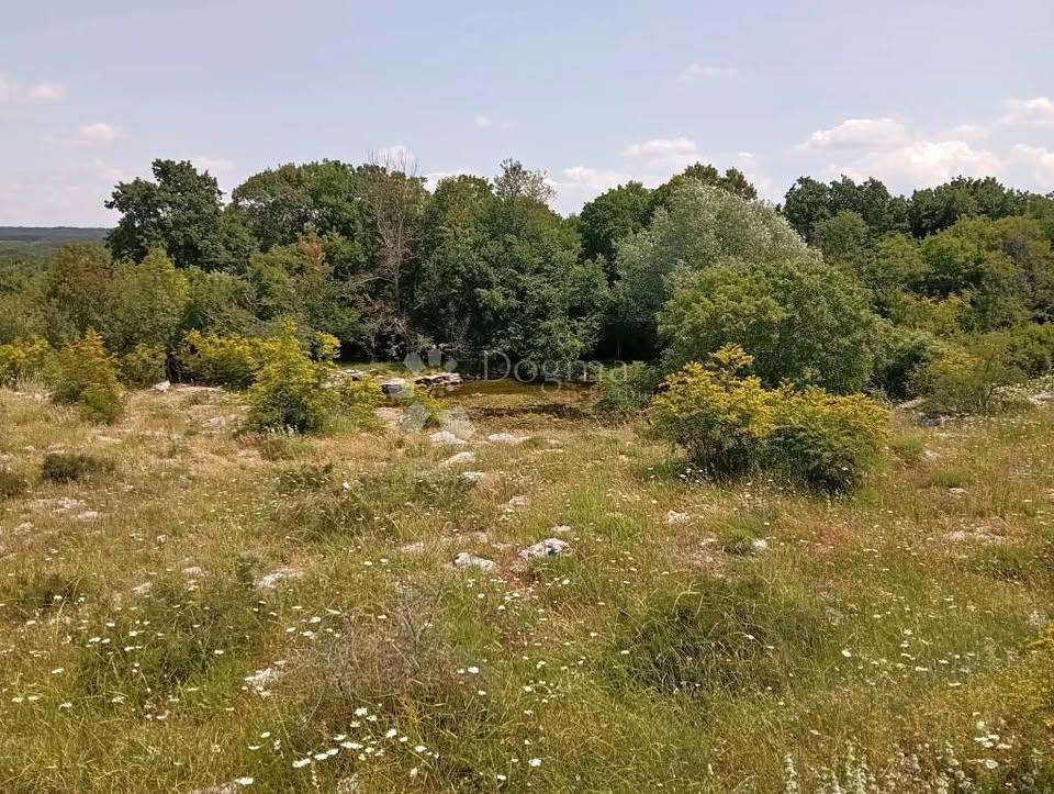 Terreno In vendita - Istarska Svetvinčenat - foto 2/2