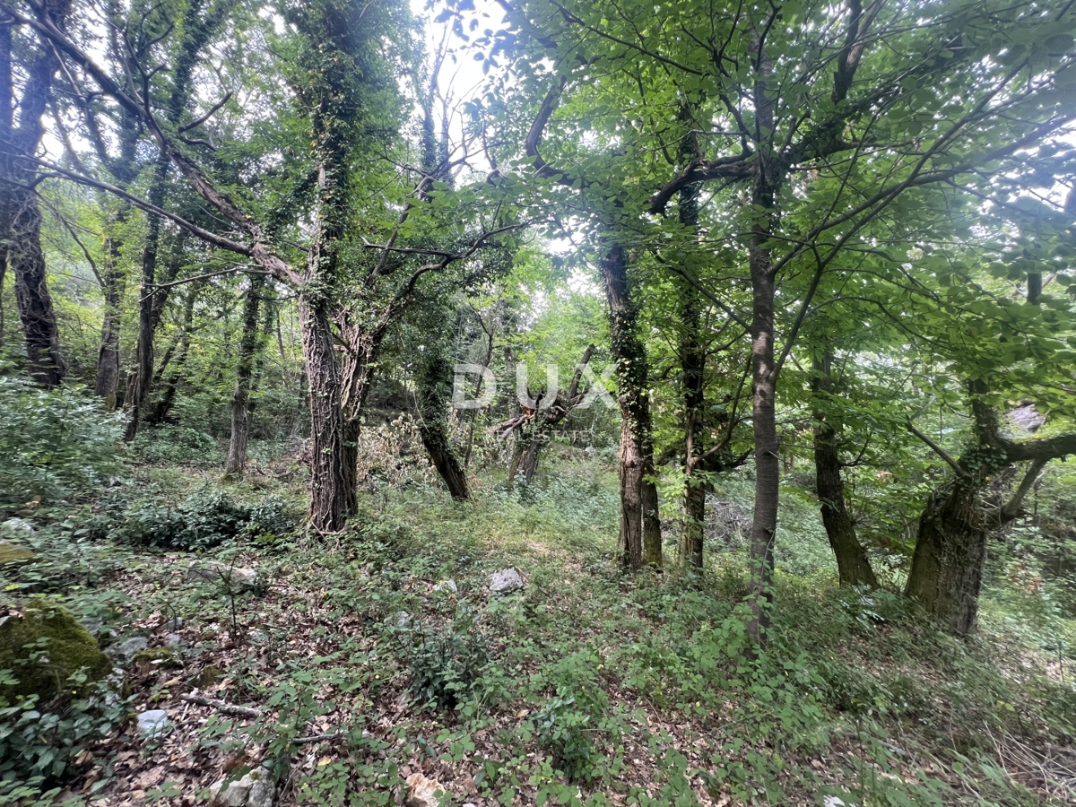 Dom Na predaj - Primorsko-goranska Mošćenička Draga - foto 1/5