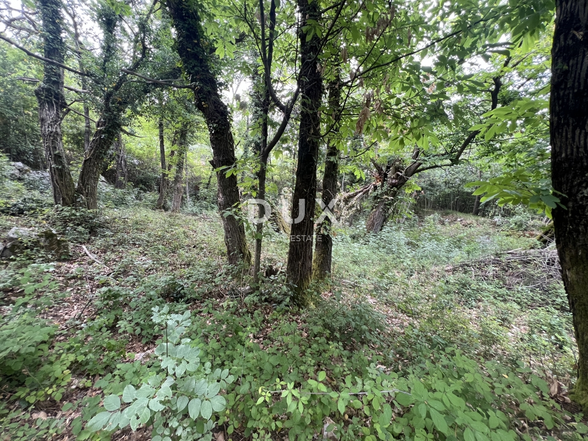 Dom Na predaj - Primorsko-goranska Mošćenička Draga - foto 2/5