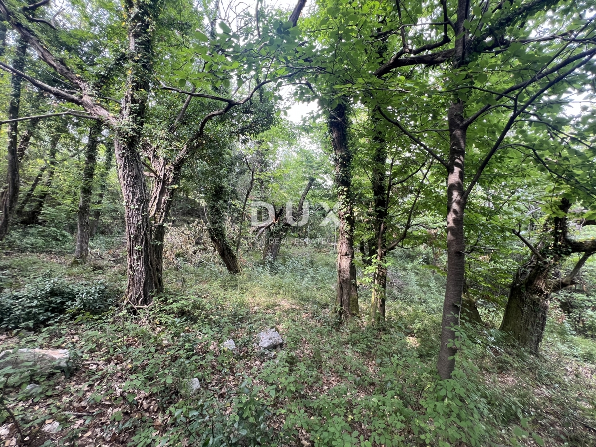 Dom Na predaj - Primorsko-goranska Mošćenička Draga - foto 4/5