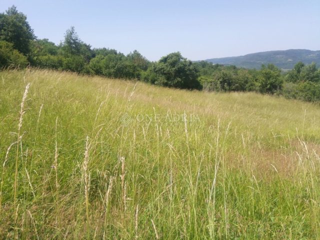 Działka na sprzedaż 8946 m² – Motovun
