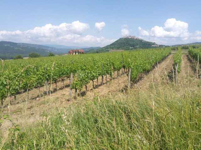 Grundstück Zu verkaufen - Istarska Motovun - foto 2/7