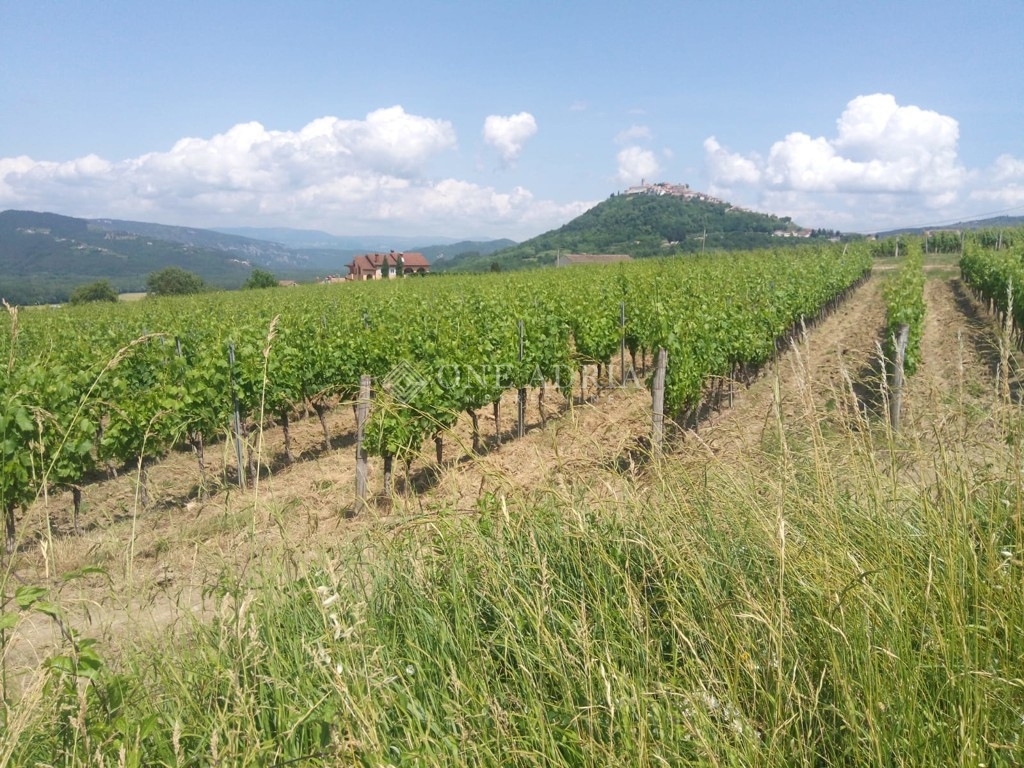 Zemljište Na prodaju - ISTARSKA MOTOVUN