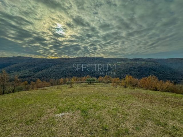 Grundstück zu verkaufen 1965 m² – Motovun