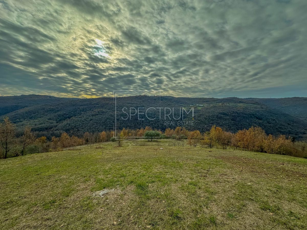 Grundstück Zu verkaufen - Istarska Motovun - foto 1/13