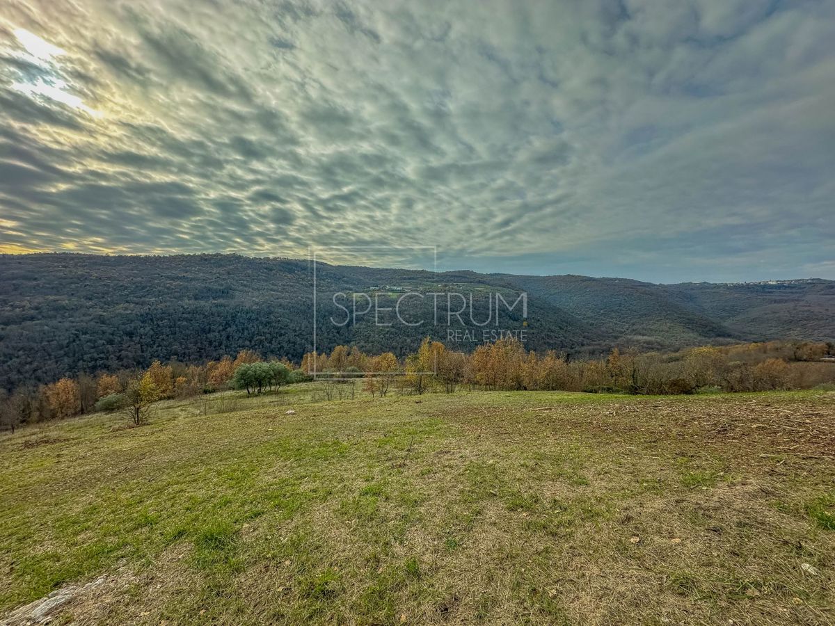 Grundstück Zu verkaufen - Istarska Motovun - foto 4/13
