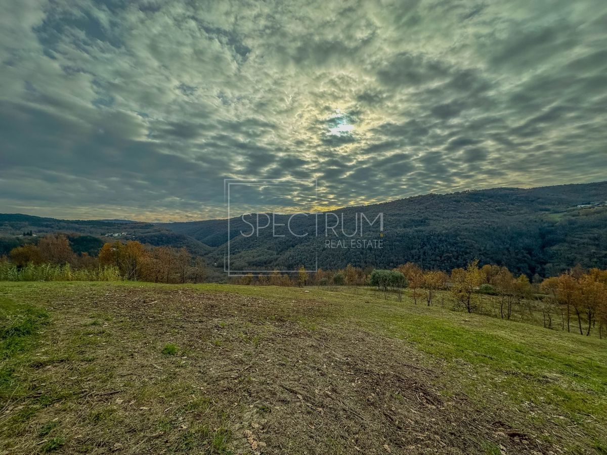Grundstück Zu verkaufen - Istarska Motovun - foto 5/13