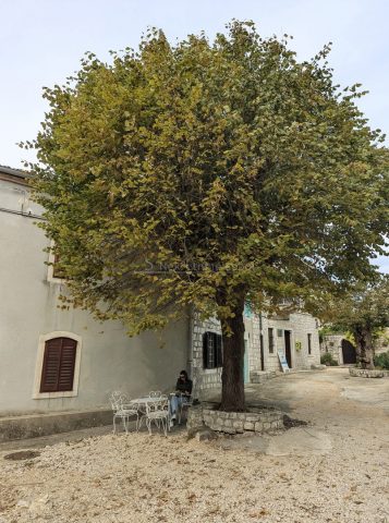 Haus Zu verkaufen - Primorsko-goranska Mali Lošinj - foto 4/5