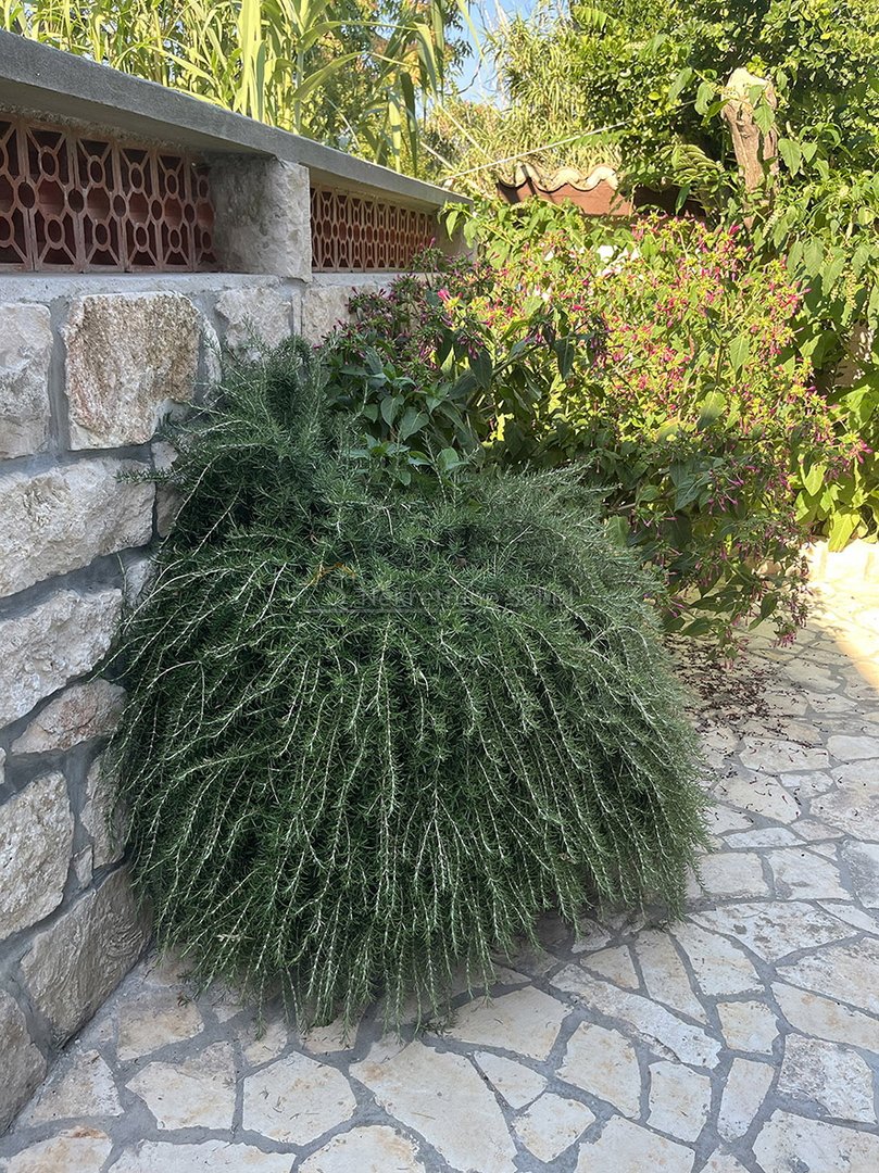 Kuća Na prodaju - PRIMORSKO-GORANSKA MALI LOŠINJ