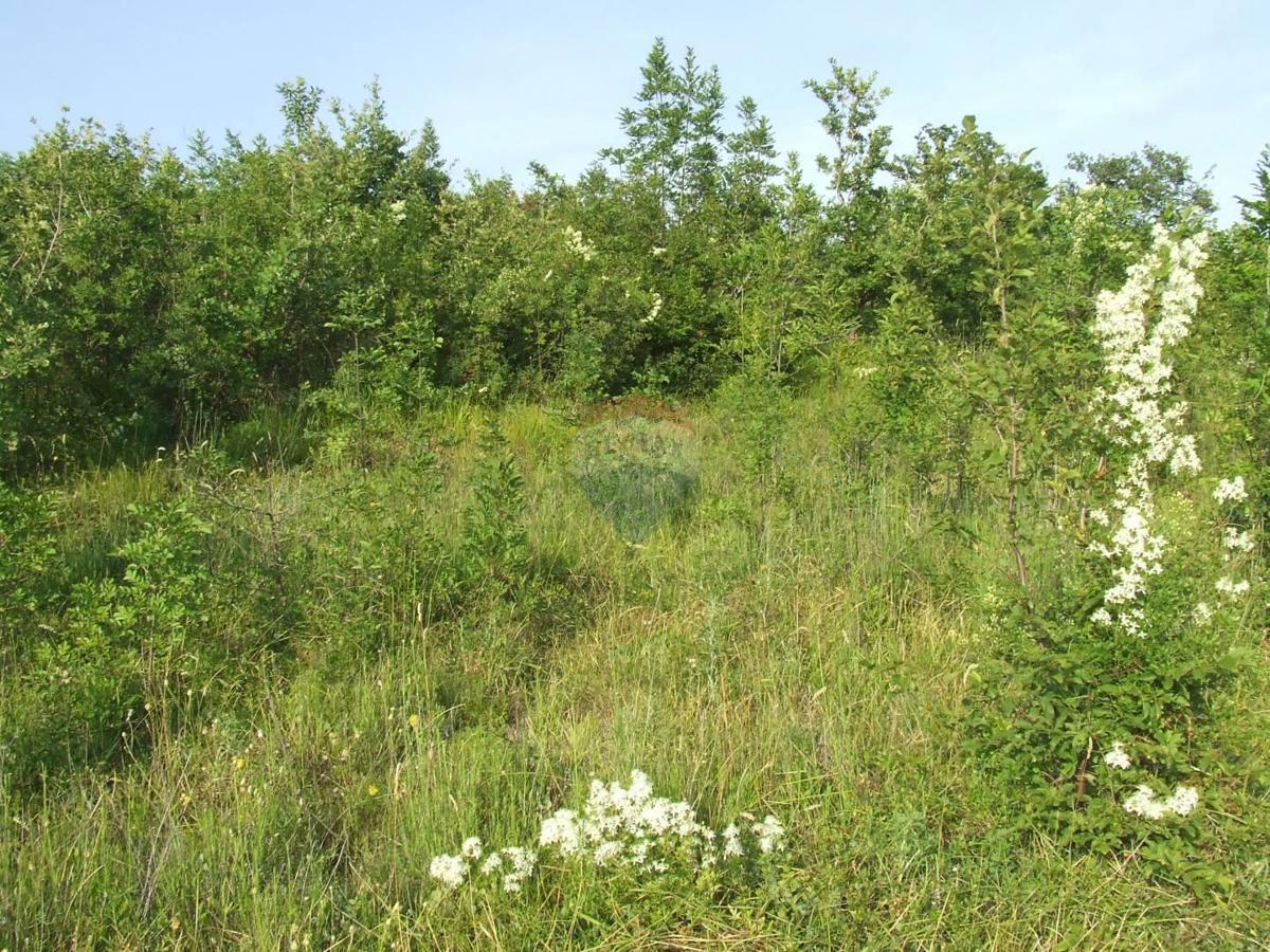 Terrain À vendre - Primorsko-goranska Crikvenica - foto 3/7