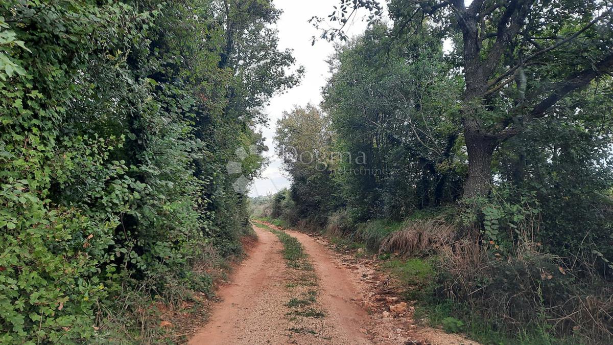 Terreno In vendita - Istarska Ližnjan - foto 5/7